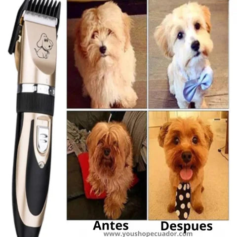 PetStyle™ Kit para el cuidado del pelaje de tu mascota (Evita pulgas y garrapatas)