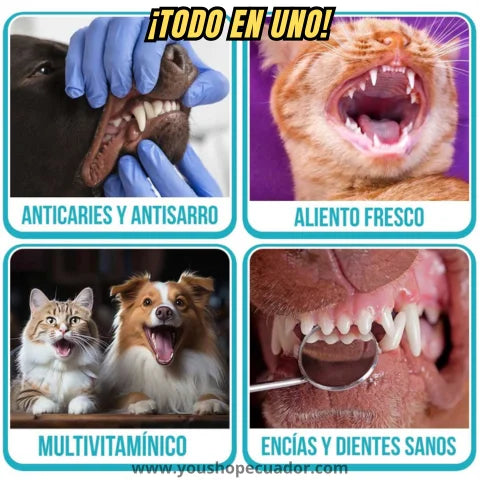 SMILEPET™ Spray bioamigable de ultra protección dental y mal aliento en mascotas + PROMO 2X1 🎁