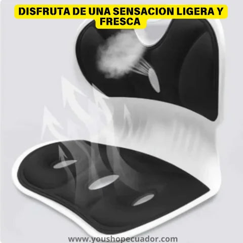 RESPALDO ORTOPÉDICO Convierte cualquier asiento en un alivio inmediato para tu espalda + PROMO X2 🎁